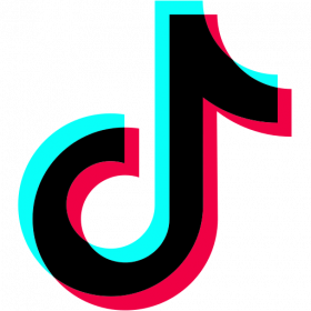 Takipçiler Ninja TikTok